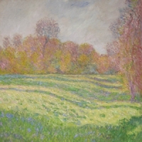 Strawberry Guy Sun Outside My Window