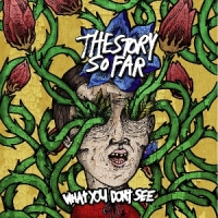 Story So Far What You Don't See -coloured-