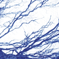 Bony King Of Nowhere Silent Days