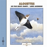Sons De La Nature Alouettes. Les Plus Beaux Chants -