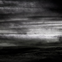 Stray Dogs Wasteland