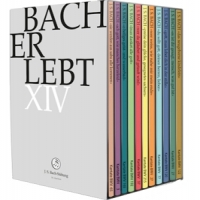 Choir & Orchestra Of The J.s. Bach Foundation / Rudolf Lutz Bach Erlebt Xiii