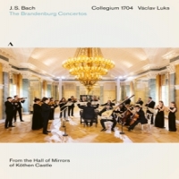 Collegium 1704 Bach: Brandenburg Concertos 1-6 Bwv 1046-1051