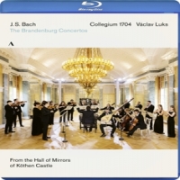 Collegium 1704 / Vaclav Luks Bach: Brandenburg Concertos 1-6 Bwv 1046-1051