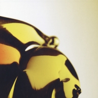 Hooray For Earth True Loves