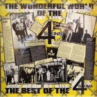 4 Skins The Wonderful World Of The 4 Skins