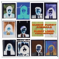 Super Furry Animals Fuzzy Logic