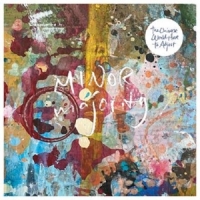 Minor Majority Universe Would Have To Adjust