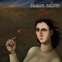 Colvin, Shawn A Few Small Repairs