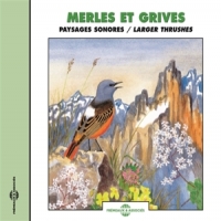 Sons De La Nature Merles Et Grives. Paysages Sonores