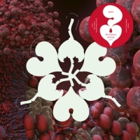 Bjork Fossora Remixes