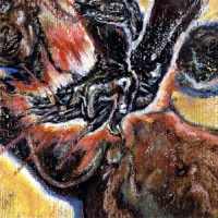 Shungu Faith In The Unknown