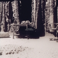 Leifur James Angel In Disguise