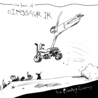 Dinosaur Jr. Ear Bleeding Country - The Best Of/ White -deluxe-