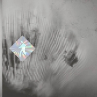 Discovery Zone Quantum Web