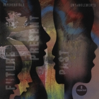 Irreversible Entanglements Future Present Past