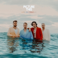 Picture This Life In Colour