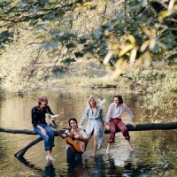 Mccartney, Paul Wild Life