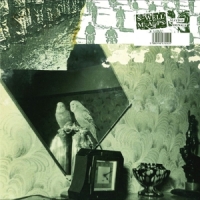 Swell Maps Mayday Signals