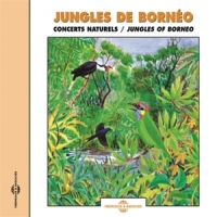 Sons De La Nature Jungles De Borneo. Concerts Naturel