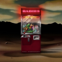 Dog Dimension Rabies