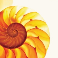 Samuel Jackson 5, The Easily Misunderstood