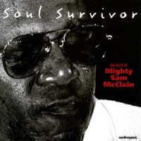Mighty Sam Mcclain Soul Survivor (the Best Of Mighty S