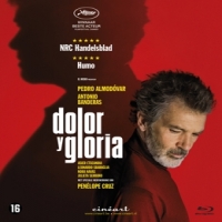 Pedro Almodovar Dolor Y Gloria
