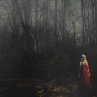 156/silence From A Distance -coloured-