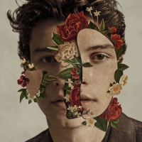 Mendes, Shawn Shawn Mendes (deluxe)