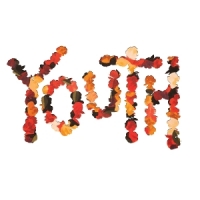 Citizen Youth (10th Anniversary/cloudy Oran