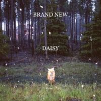 Brand New Daisy