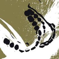 Het Universumpje De Grenzen Van Het Toelaatbare