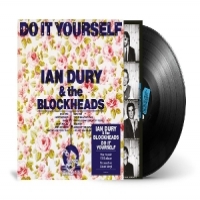 Dury, Ian Do It Yourself