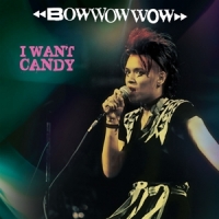 Bow Wow Wow I Want Candy (pink/black Stripe)