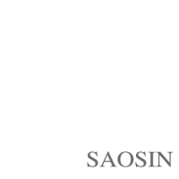 Saosin Translating The Name -coloured-