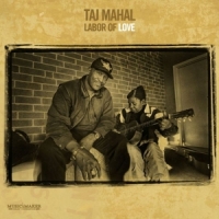 Taj Mahal Labor Of Love