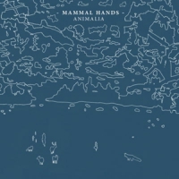 Mammal Hands Animalia