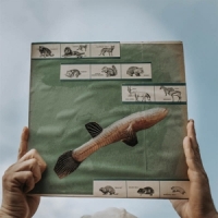 Cotton Jones The River Strumming