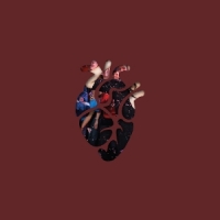 Thao & The Get Down Stay Down Know Better Learn Faster -coloured-