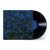 Jefre Cantu-ledesma Gift Songs