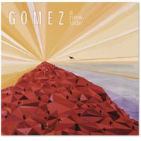 Gomez A New Tide