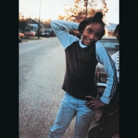 Primal Scream Dixie Narco