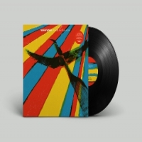 Web Web Plexus Plexus