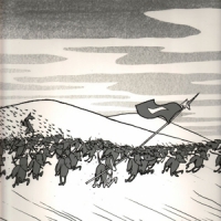 Shellac Excellent Italian Greyhound