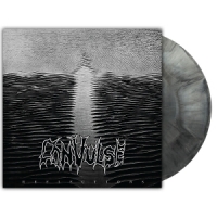Convulse Reflections