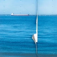 Finn, Craig A Legacy Of Rentals