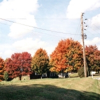 Vegas Water Taxi Things Are Gonna Be Alright (red)