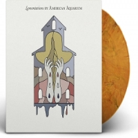American Aquarium Lamentations