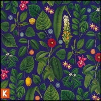 Kings Kaleidoscope Becoming Who We Are